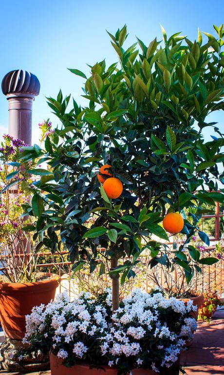 Hotel Palagi Pietrasanta Dış mekan fotoğraf
