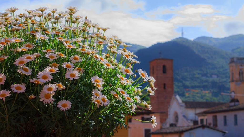 Hotel Palagi Pietrasanta Oda fotoğraf